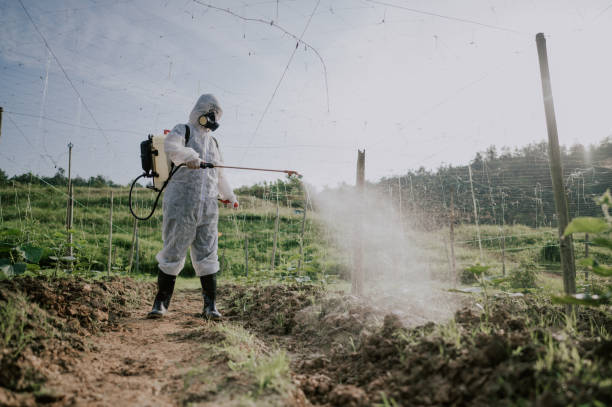 Best Pest Control for Businesses  in Devon, PA