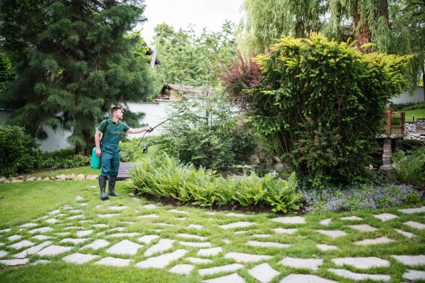Professional Pest Control in Devon, PA
