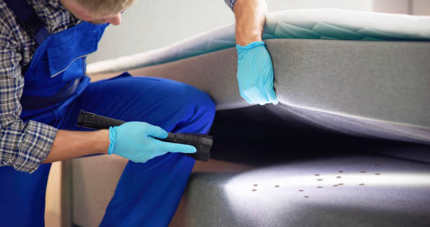 Best Wasp Removal Services  in Devon, PA