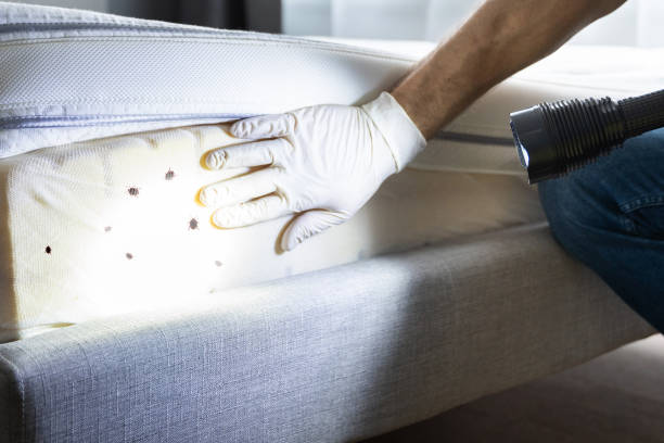 Best Residential Pest Control  in Devon, PA