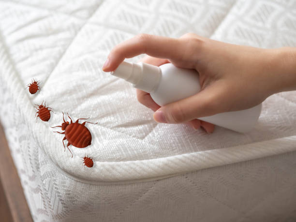 Best Emergency Pest Control  in Devon, PA