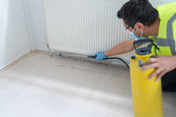Best Best Pest Control Companies  in Devon, PA
